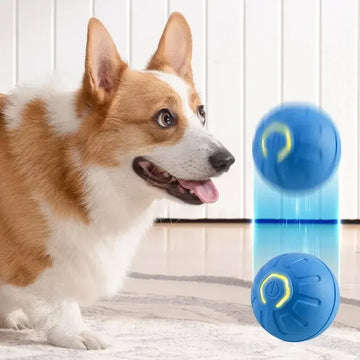 PetBall SmartPlay™
