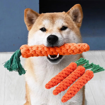 ChewCarrot™