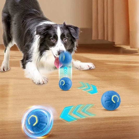 PetBall SmartPlay™